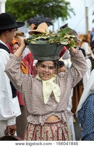 FUNCHAL MADEIRA PORTUGAL - SEPTEMBER 4 2016: Woman carry the baskets of grapes in traditional costume durnig historical and ethnographic parade of Madeira Wine Festival in Funchal. Madeira Portugall