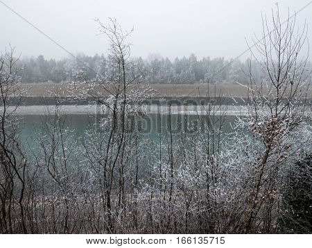 Frost Covering Trees
