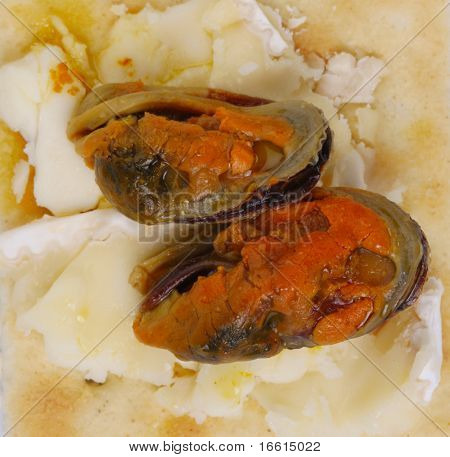 Makro til røget mussles på ost krakker