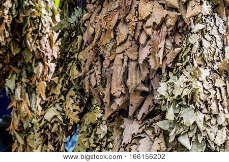Photo of lot oak besoms for Russian banya at market place