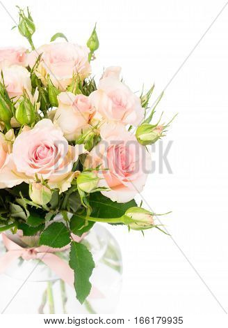 Bouquet of pink blooming fresh roses with buds in vase close up isolated on white background