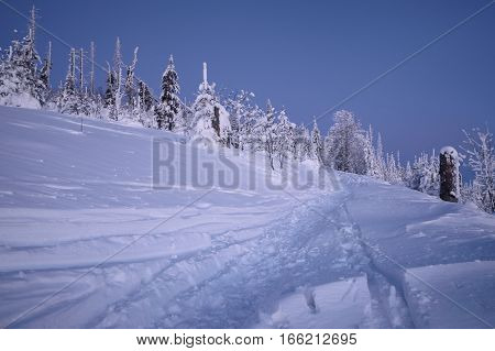 Trees covered with snow for the morning sun. Beautifully colored morning on the mountain peak Lusen in Bavaria.