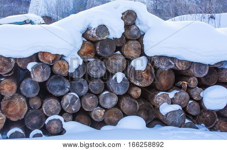 Background of firewood stacked in the cut wood timber firewood textured for background