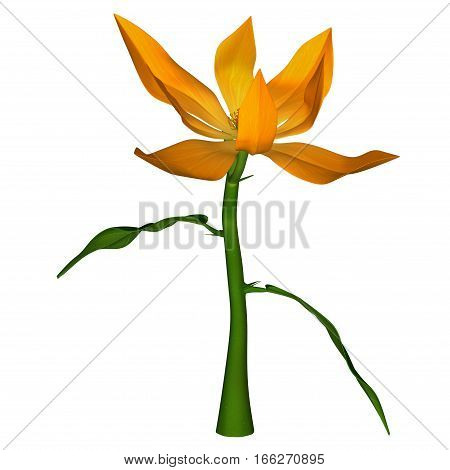 Michelia is a genus of flowering plants belonging to the Magnolia family.