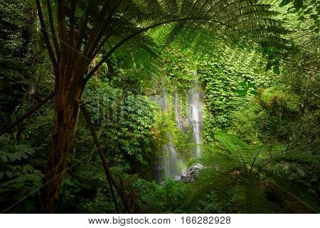 View of forest. Beautuful waterfall in jungle tropic rain forest. Scenic nature background. Waterfall near volcano Rinjani Tetubaty Lombok Indonesia