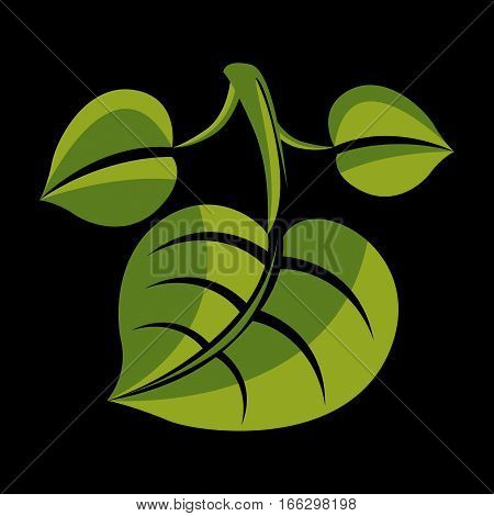 Three Simple Green Vector Leaves Of Deciduous Tree, Stylized Nature Element. Ecology Symbol, Can Be