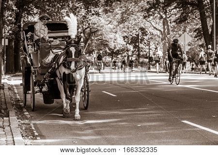 New York, September 17, 2016: A coachman is giving some tourists a ride on his horse drawn carriage around Central Park.