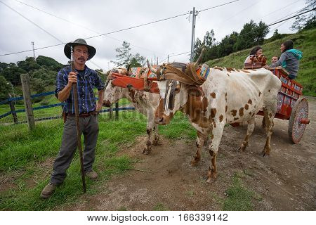 May 22 2016 Florencia Costa Rica: local farmer standing beside a bovine pulled carriage on harvest celebration day