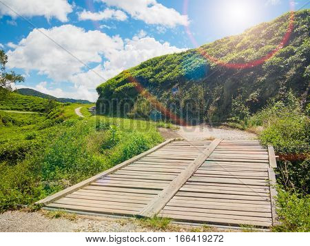 small wooden bridge in tea farm at Cameron Highlands with Lens Flare or sunspot
