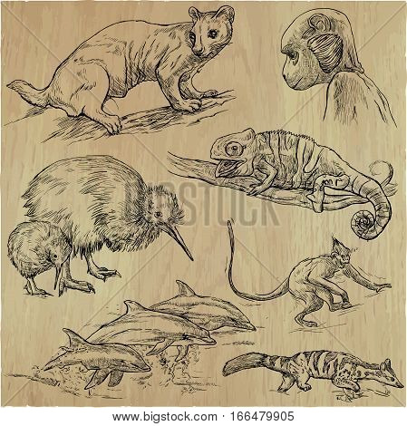 An hand drawn vector pack - Animals around the World. Collection of line art illustrations.