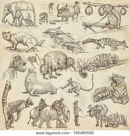 Animals around the World. An hand drawn full sized illustrations. Collection of line art pictures. Drawing on old paper.