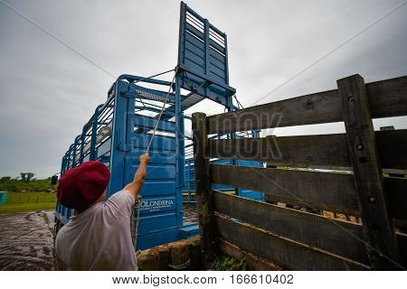 San Antonio de Areco, Argentina - Nov 13, 2016: A gaucho cowboy working with a horse box on November 13, 2016 in San Antonio De Areco, Argentina.