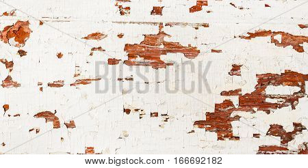 Texture of grunge old wooden brown textured background with peeling paint white color. Vintage background