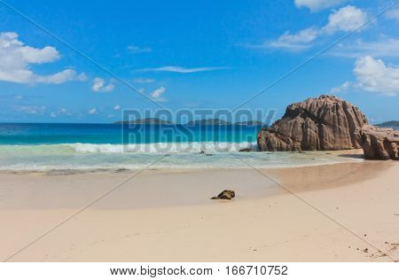 LaDigue Stones Under the Sun 