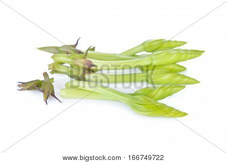 moonflower edible flower on a white background