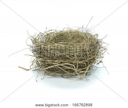 Empty Birds Nest