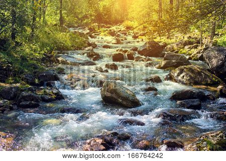 Beautiful Mountain River In The Sun