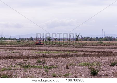 Tractor in field , agriculture in asia