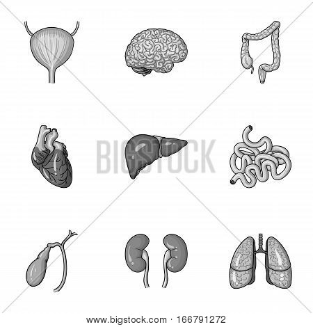 Human organs set icons in monochrome design. Big collection of human organs vector symbol stock illustration