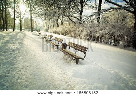 Aley in the winter snow-covered park with benches