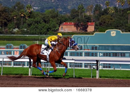 Carreras de caballos pura sangre