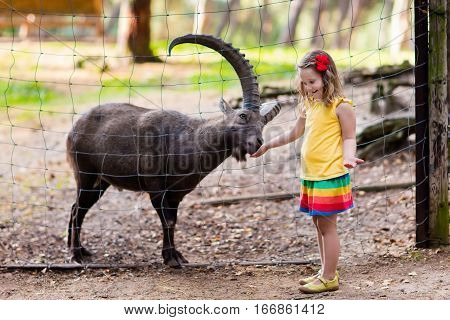 Cute little girl in colorful dress watching and feeding wild alpine goat with large horns at the zoo on sunny summer day. Wildlife and Alps mountains nature experience for kids at animal safari park.