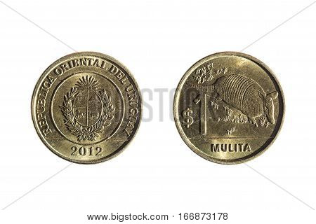Five Peso Uruguayan Currency