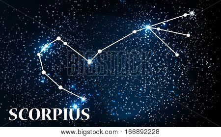 Symbol Scorpius Zodiac Sign. Vector Illustration EPS10