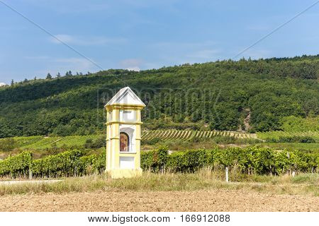 wayside with vineyard near Retz, Lower Austria, Austria