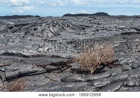 Close Up Lava Flow In Lava Field