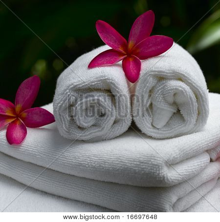 Spa-Objekte mit Tropica Blumen und Blätter