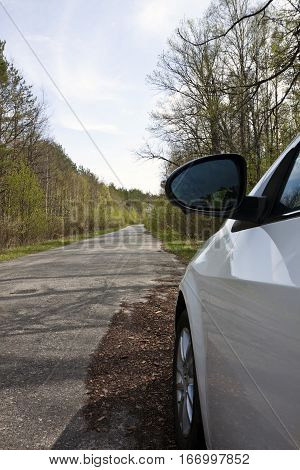 white car in a forest on a road