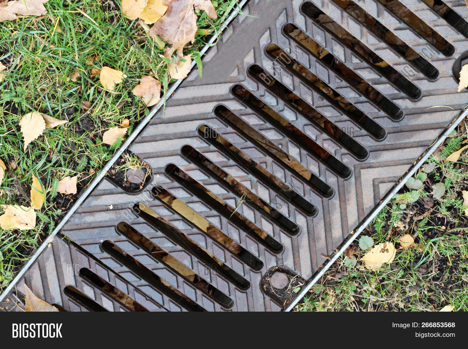 Sewerage Drain Cover Image & Photo (Free Trial) Bigstock