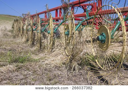 Tractor Raking Hay Over Sloped Ground. Heavy Wire Spokes Wheels Details