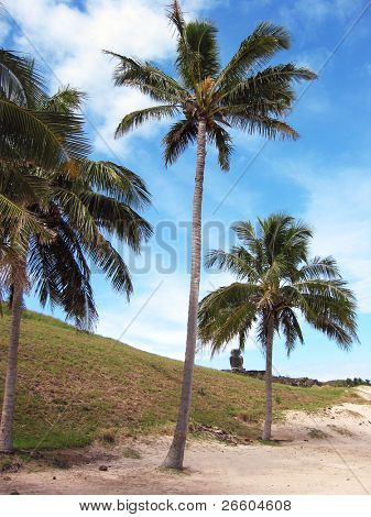Anakena beach, Easter Island
