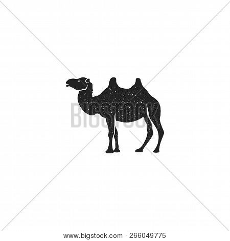 Camel Icon Silhouette Design. Wild Animal Symbol And Element Isolated On White Background. Vintage H