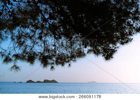 Late Afternoon On The Croatian Coast In Dubrovnik In Summer, Croatia