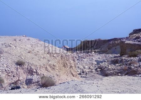 Israel landscape, Jordanian desert. Sunny day, stone terrain, rural roads. The fauna of Israel, roe 