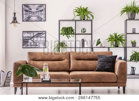 Brown Leather Sofa In The Middle Of Elegant Living Room With Urban Jungle Concept