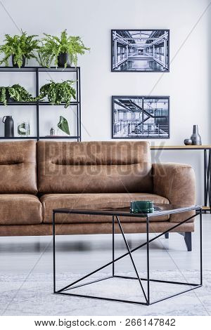 Vertical View Of Spacious Living Room With Comfortable Leather Settee, Coffee Table And Industrial P