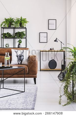 Vertical View Of Elegant Living Room With Brown Leather Sofa With Pillow, Table With Carafe And Shel
