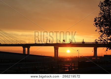 Sunset Over Western Rapid Diameter Highway And Cable-stayed Bridge Over Neva River In Saint Petersbu