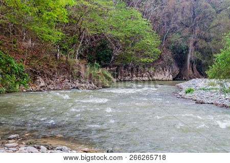 Rio Azur River And Montezuma Cypress Taxodium Mucronatum , Guatemala