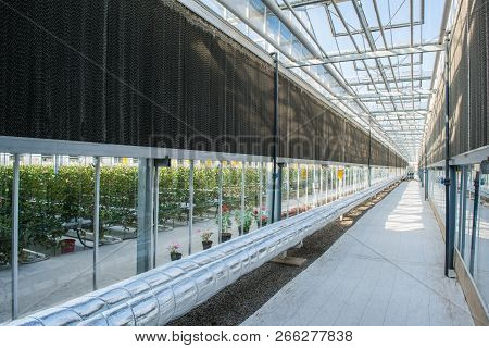 Glass Roof Interior With Pipes And Walls In Modern Greenhouse, Photo In Length