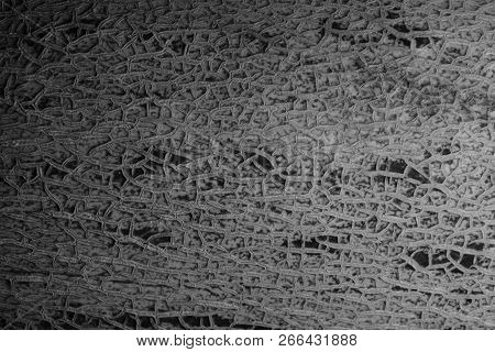 The Surface Of The Melon Texture Background Close-up