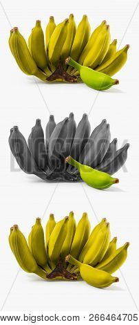 Triple Banana Cluster Isolated On White Background