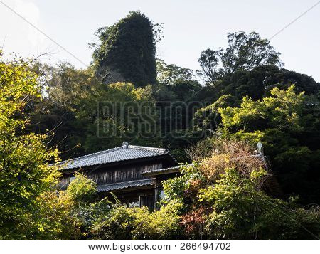 Unusual Rock Formation At Monjusenji Temple On Kunisaki Peninsula, Japan