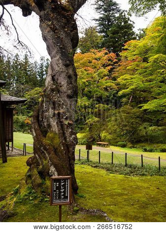 Nikko, Japan - October 23, 2016: Traditional Japanese Garden In Tamozawa Imperial Villa With Fall Le