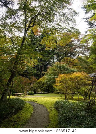 Nikko, Japan - October 23, 2016: Traditional Japanese Garden In Tamozawa Imperial Villa With Fall Le