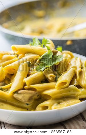 Pasta Pene With Chicken Pieces Mushrooms Parmesan Cheese Sauce And Herb Decoration. Pene Con Pollo -